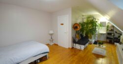 AU KATTEBROEK: BELLE MAISON DE 208M² PEB D 5 CHAMBRES