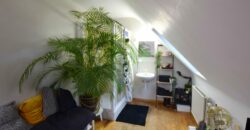 AU KATTEBROEK: BELLE MAISON DE 208M² PEB D 5 CHAMBRES