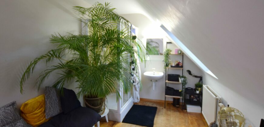 AU KATTEBROEK: BELLE MAISON DE 208M² PEB D 5 CHAMBRES