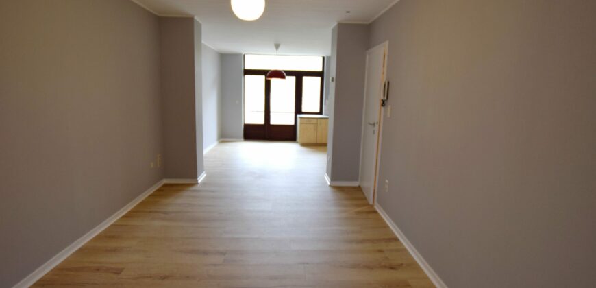 appartement 1ch rue de la vignette 234