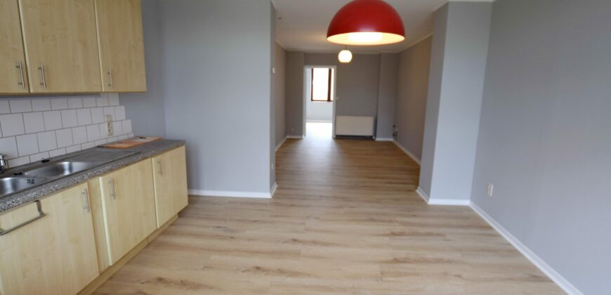 appartement 1ch rue de la vignette 234