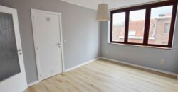 appartement 1ch rue de la vignette 234