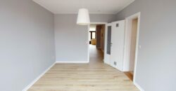 appartement 1ch rue de la vignette 234