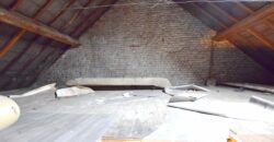 Schaerbeek Station District: Mixed-use investment property